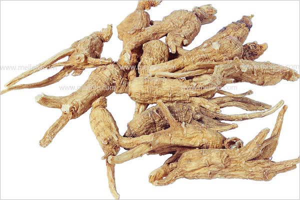 好当归药材